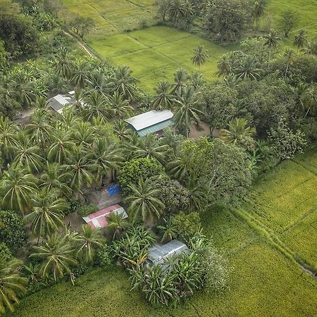 Bed and Breakfast Coconut Park Anuradhapura Exterior foto