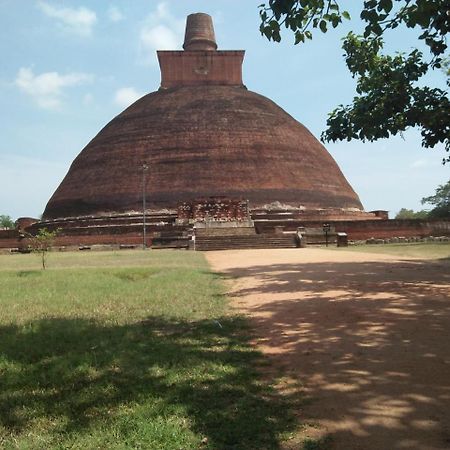 Bed and Breakfast Coconut Park Anuradhapura Exterior foto