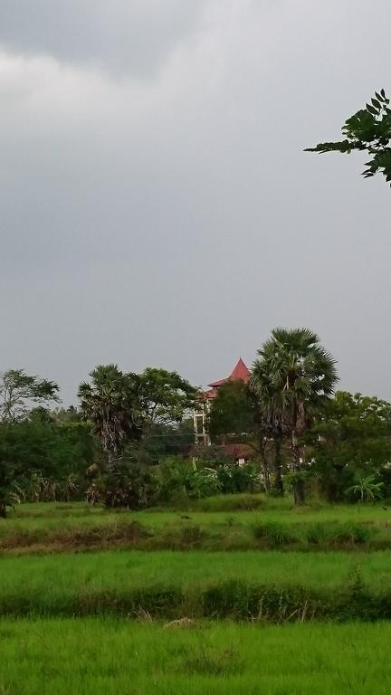 Bed and Breakfast Coconut Park Anuradhapura Exterior foto