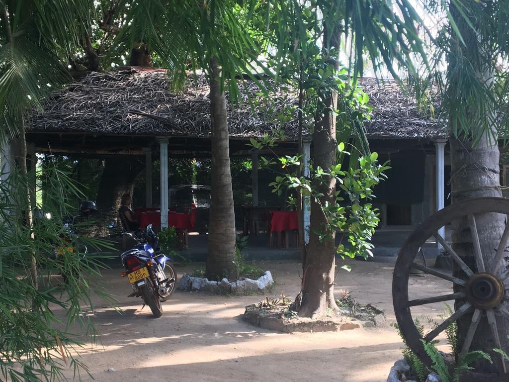 Bed and Breakfast Coconut Park Anuradhapura Exterior foto