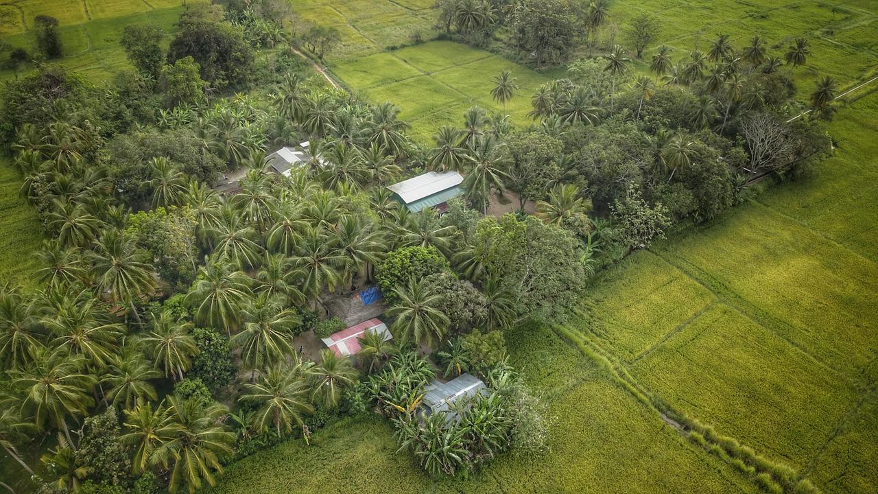 Bed and Breakfast Coconut Park Anuradhapura Exterior foto