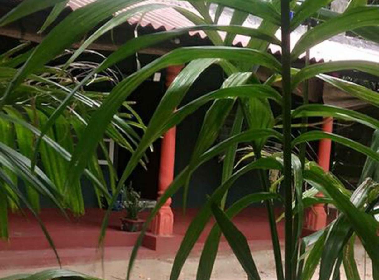 Bed and Breakfast Coconut Park Anuradhapura Exterior foto