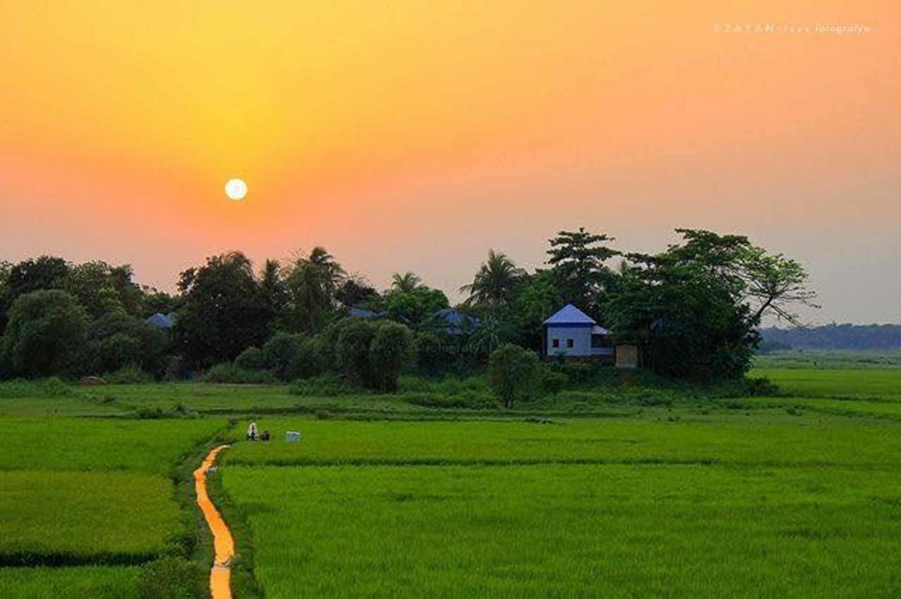 Bed and Breakfast Coconut Park Anuradhapura Exterior foto
